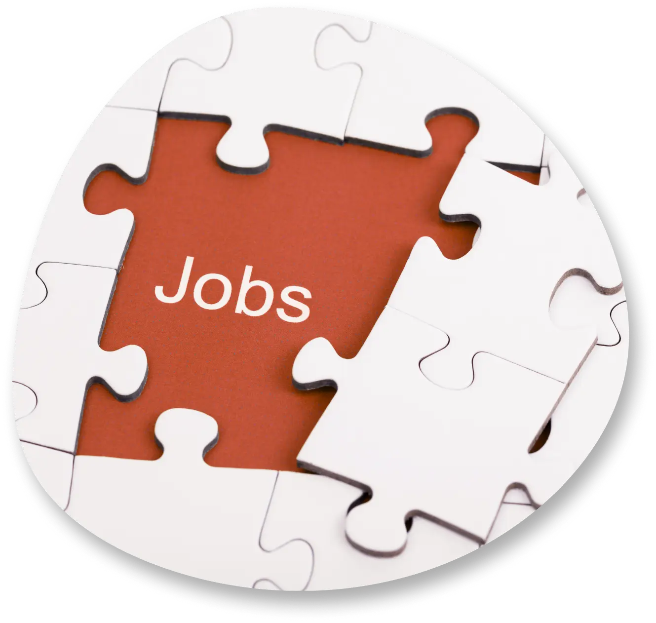 Jobs Vacancies from visa visa king